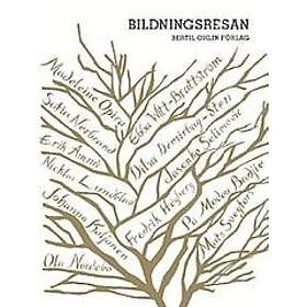Pa Modou Badjie, Ebba Witt-Brattström, Nicklas Lundblad, Jasenko Selimovic, Dilsa Demirbag-Sten: Bildningsresan