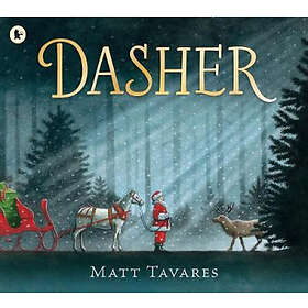 Matt Tavares: Dasher