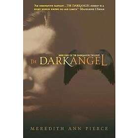 Meredith Ann Pierce: The Darkangel