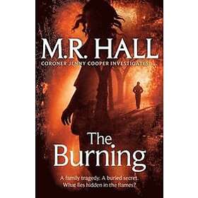 Matthew Hall: The Burning