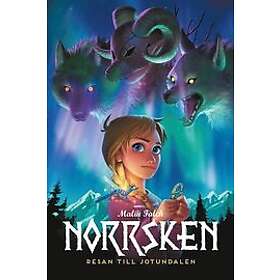 Malin Falch: Norrsken