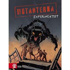 Ingela Korsell: Experimentet