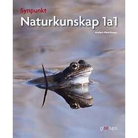 Anders Henriksson: Synpunkt 1a1