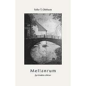 Folke T Olofsson: Mellanrum