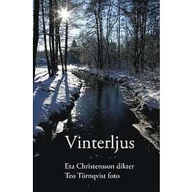 Eta Christensson: Vinterljus