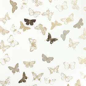 Mimou Butterfly WP1096