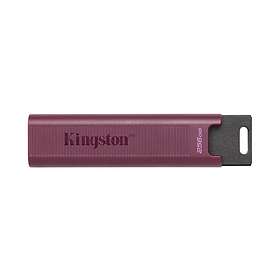 Kingston DataTraveler Max USB flash-enhet 512 GB