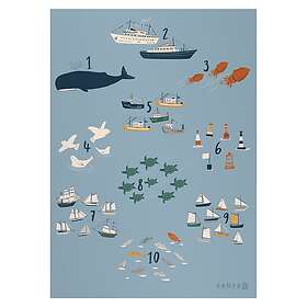 Sebra Seven Seas Poster Med Siffror 50x70 cm