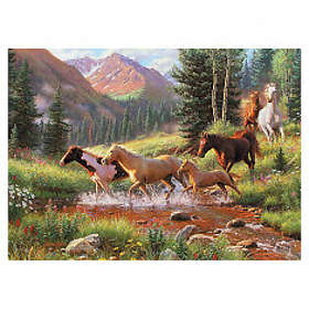 Cobble Hill Mountain Thunder 1000 Bitar