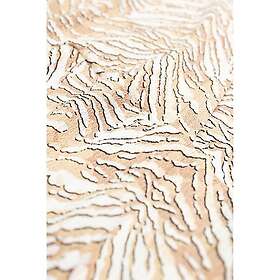 Garcia E30096 Dress (Dame)