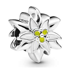 Pandora Edelweiss berlock 798243ENMX