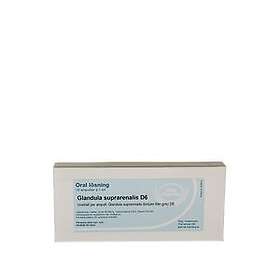 Allergica Glandula suprarenalis D6 10 x 1ml