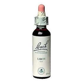 Bach s Blomsterterapi Larch Lärkträd 20ml