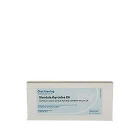 Allergica Glandula thyroidea D6 10 x 1ml