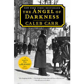 The Angel of Darkness: Book 2 of the Alienist