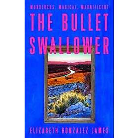 Bullet Swallower
