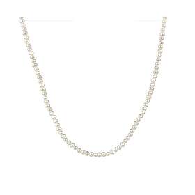Vidal Damhalsband & X7668539