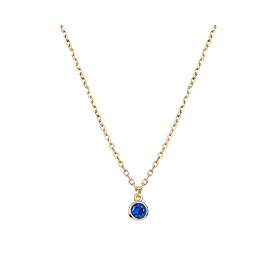 Vidal Damhalsband & X7644638