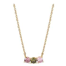 Vidal Damhalsband & X7651638
