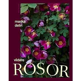 Vildare rosor