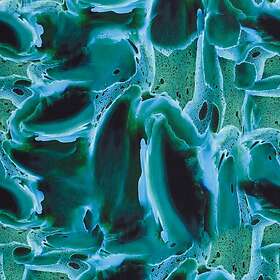 KC Sportlycra Ocean