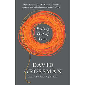 David Grossman: Falling Out Of Time