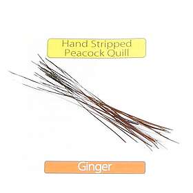 Veniard Stripped Peacock Quills Ginger
