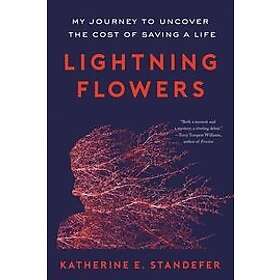 Katherine E Standefer: Lightning Flowers