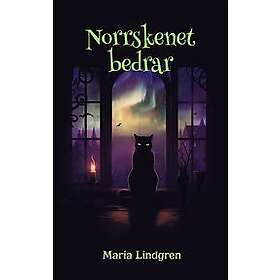 Maria Lindgren: Norrskenet bedrar