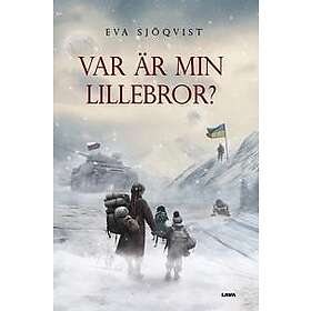 Eva Sjöqvist: Var är min lillebror?