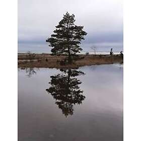 Anders Gustafson: Mellan två klanger