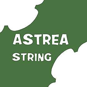 Astrea 141110 VIOLIN 3/4-4/4 SET