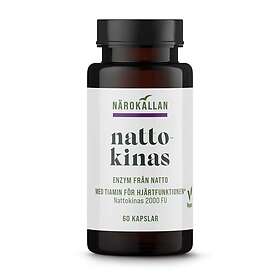 Närokällan Nattokinas 2000FU 60k