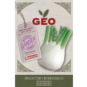 Geo Fennikelfrø Romanesco økol 2,5g