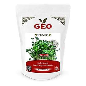 Geo Ruccola spirefrø økologisk 300g
