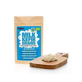 ØKOlogisk Melkekefir korn tørkede 1g