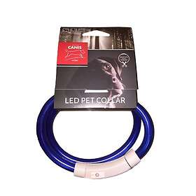 Active Canis USB Led Pet Collar