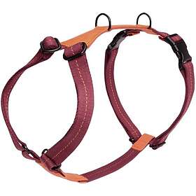 Cloud7 Harness Madeira