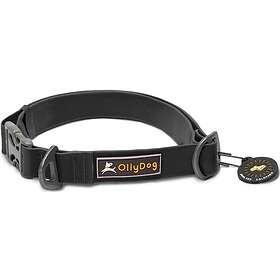 OllyDog Tilden Collar (Medium)