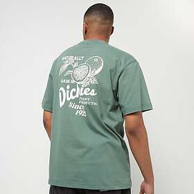 Dickies Raven t-shirt med tryck