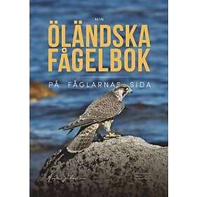 MIN ÖLÄNDSKA FÅGELBOK PÅ FÅGLARNAS SIDA