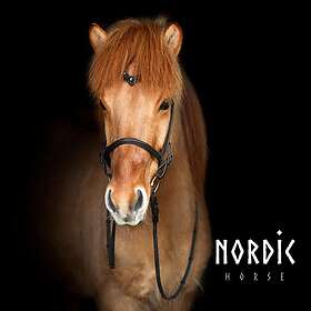 Nordic Horse Kombinerad/Engelsk Nosgrimma Svart (Spännen: Rose Gold)