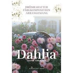 Dahlia drömrabatter, färgkomposition och arrangemang