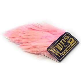 Whiting American Streamer Pack White dyed Shell Pink