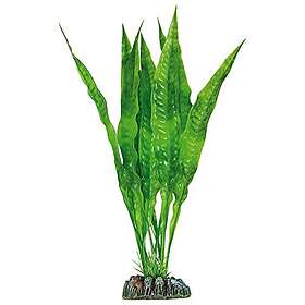 ICA AP1015 Echinodorus Bleheri från Aquatic Växter Plast