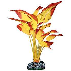 ICA AP1182 Anubias de Aquatic växter siden