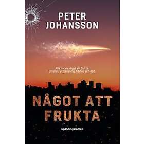 Peter Johansson: Något att frukta