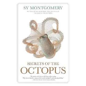 Secrets of the Octopus