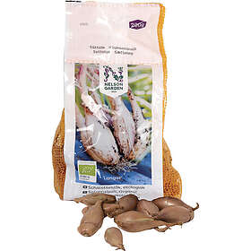Nelson Garden Sättlök Schalottenlök EKO Longor 200g