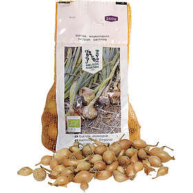 Nelson Garden Sättlök Gul Eko 250g